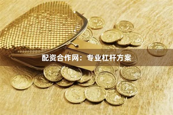 配资合作网：专业杠杆方案